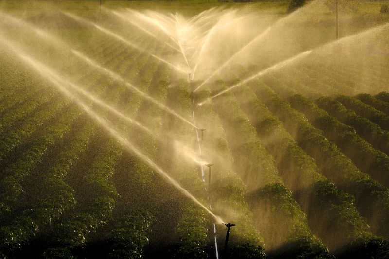 Mist Irrigation Installation in Honolulu, HI