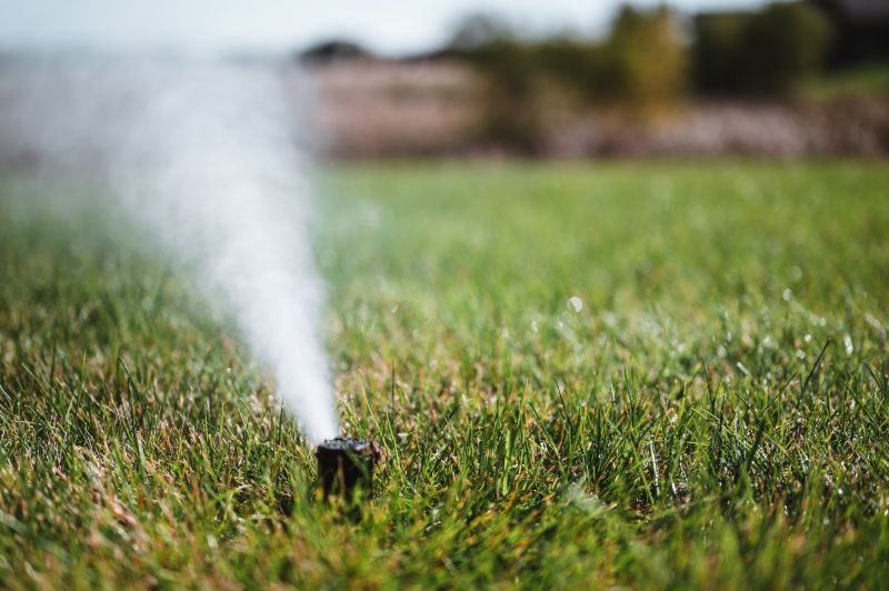 Sprinkler Blowout Service in Carson City, NV