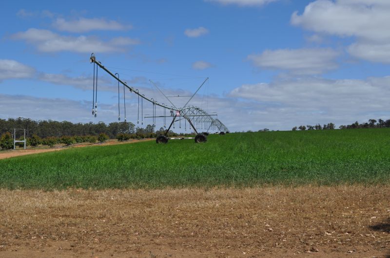 Crop Irrigation Installation in Aiken, SC