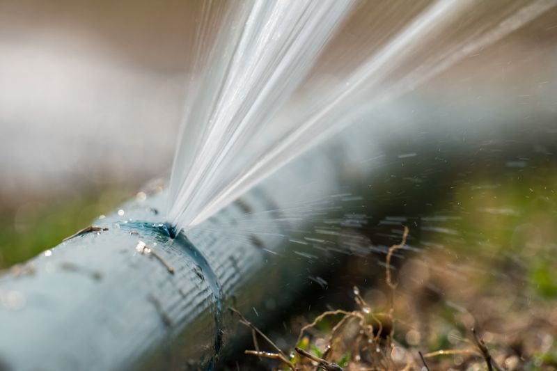 Damaged Sprinkler Repair in Aiken, SC