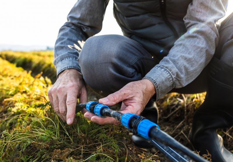 Sprinkler Line Repair in Aiken, SC