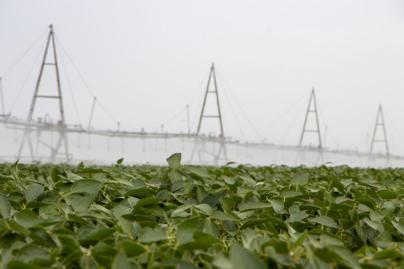 Turf Irrigation Installation