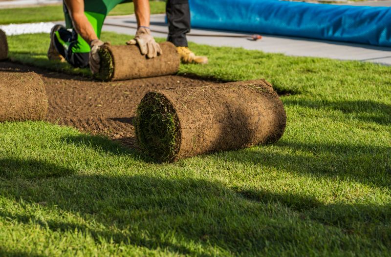 Summer Turf Installation